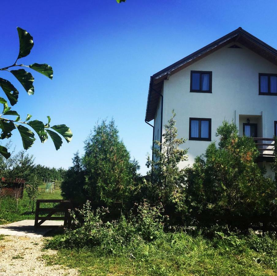 Bran White Clouds House And Chalet Ngoại thất bức ảnh