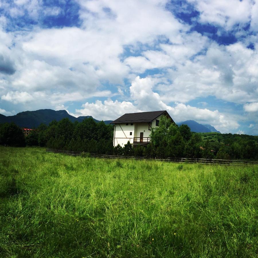 Bran White Clouds House And Chalet Ngoại thất bức ảnh